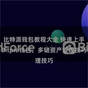 比特派钱包教程大全 快速上手Bitpie钱包，多链资产管理技巧