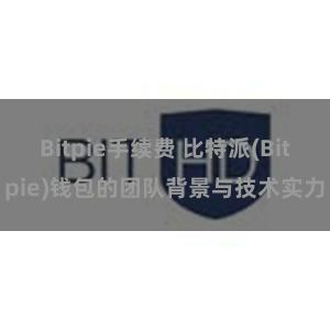 Bitpie手续费 比特派(Bitpie)钱包的团队背景与技术实力