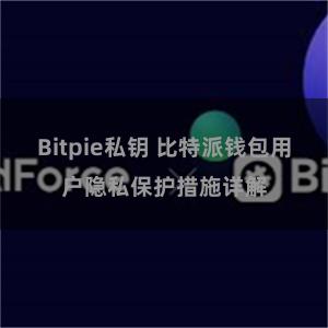Bitpie私钥 比特派钱包用户隐私保护措施详解