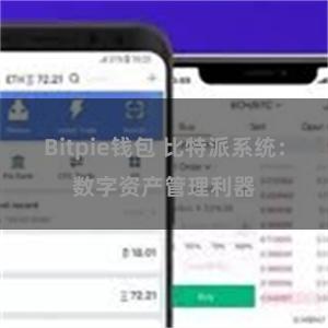Bitpie钱包 比特派系统：数字资产管理利器