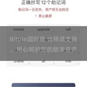 Bitpie国际版 比特派支持，用心呵护您的数字资产