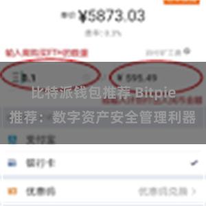 比特派钱包推荐 Bitpie推荐：数字资产安全管理利器