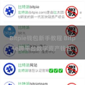 Bitpie钱包新手教程 Bitpie跨平台数字资产钱包