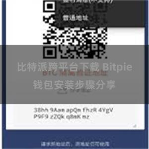 比特派跨平台下载 Bitpie钱包安装步骤分享